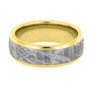 Mens Meteorite Rings