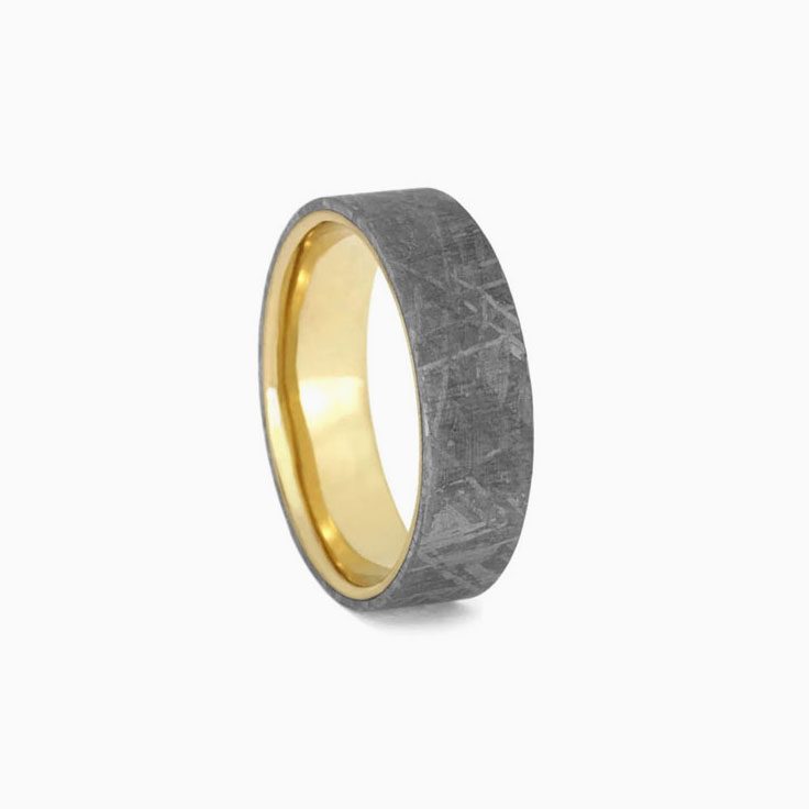 Gibeon Meteorite Overlay with Yellow Gold