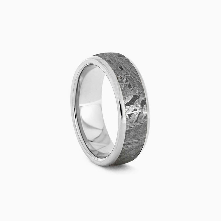 Mens Gibeon Meteorite Wedding Band in Titanium
