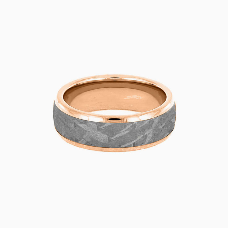 Gibeon Meteorite in Gold