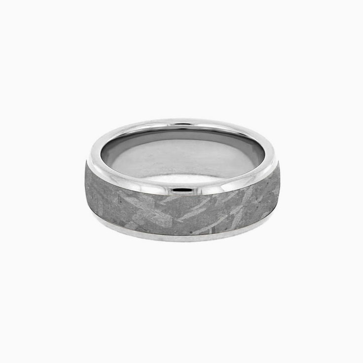 Mens Gibeon Meteorite Wedding Band in Titanium