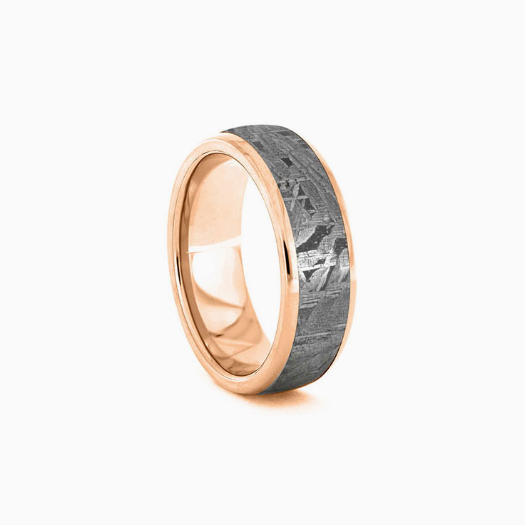 Gibeon Meteorite in Gold